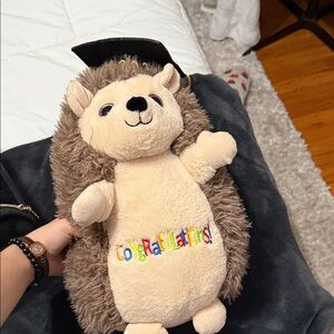 Plush Hedgehog with Graduation Cap